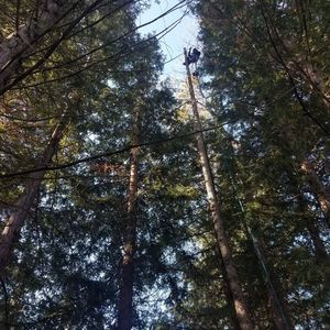 Meet your Posher, Leoncio